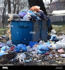 Best Yard Waste Removal  in Adairsville, GA